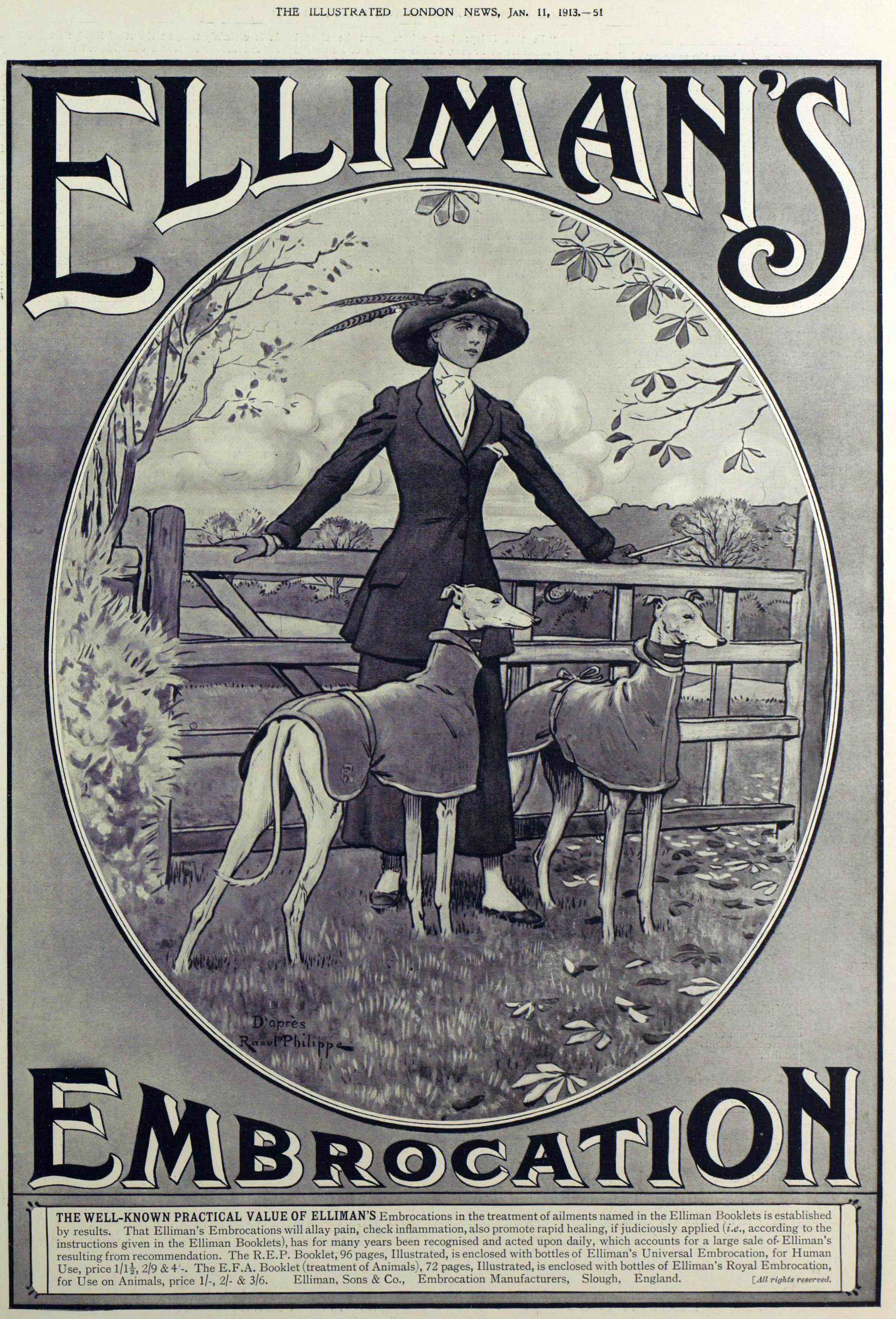 Ellimans advert greyhounds